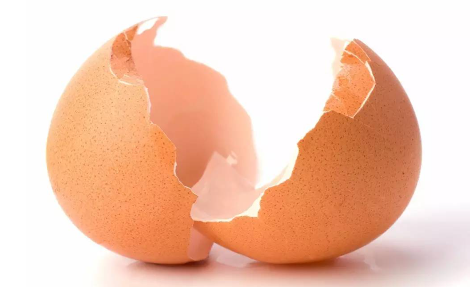 男人吃鸡蛋壳有药用价值？